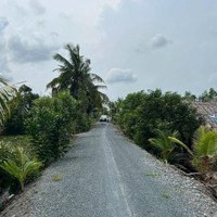 Đất Lớn Phù Hợp Làm Trang Trại Vườn. Nhà Vườn Nghỉ Dưỡng Rất Dêp