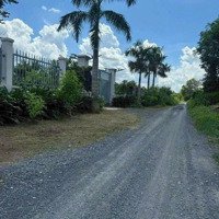 Đất Lớn Phù Hợp Làm Trang Trại Vườn. Nhà Vườn Nghỉ Dưỡng Rất Dêp
