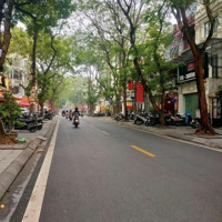 Chính Chủ Cần Bán Gấp Căn Biệt Thự Mễ Trì 170M2, Mt9M, 5T, 1 Hầm. Giá Bán 43 Tỷ