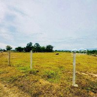 Ninh Điền Ninh Thọ Ninh Hoà Khánh Hoà Em Cần Bán Lô Đấtdiện Tích2749,3M Đất Lúa. Em Bao Lên 1000M2 Đất Ở