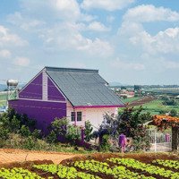 Hơn 500M Thổ Cư View Sông Cực Đẹp Gần Đà Lạt Giá Rẻ