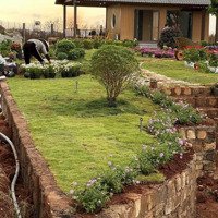 Bán Hơn 1000M2 Ngay Làng Chùa Đại Ninh, Đức Trọng, Lâm Đồng