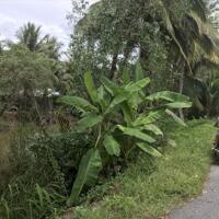 Bán đất Nhị Bình, Cách chợ trường học 1km, xe hơi tới đất - 1.400.000.000 có thương lượng chính chủ