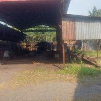 Bán Kho Xưởng 4500M2 Xã Hưng Long, Bình Chánh