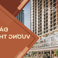 Booking Căn Hộ Sun Vương Thừa Vũ (Sunsea Towers Da Nang) - Cách Biển Chỉ 300M