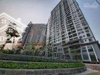 Cho Thuê Căn 2 Phòng Ngủ Cc Hateco Apollo. Liên Hệ: 0374880602