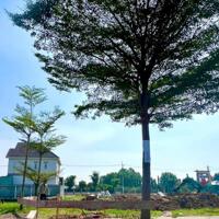 Đất nền đẹp 80m² (6x14), gần chợ xã Tân Phú Trung – Giá chỉ 2 tỷ.