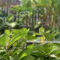 Lô Đất Đường 7M5 View Công Viên - Sạch Đẹp, Gần Biển, Giá Tốt