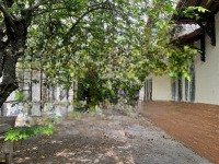 Bán Gấp 525M2 Full Thổ Cư Mặt Tiền Đường Số 1, Phường Linh Xuân, Thủ Đức