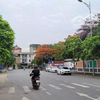 Bán Nhanh Căn Gócdiện Tích168M Shophouse Tại Nam An Khánh - Trục Kinh Doanh - Sổ Đỏ Giá Chỉ 2X Tỷ
