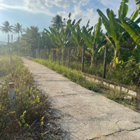 Bán Đất Tại Diên Thọ, Diên Khánh, Khánh Hòa, Giá Cực Chất 800 Triệu, 134,4M2