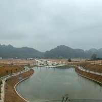 Bán 2 Lô Đất Đẹp Tại Phú Lão (Phú Nghĩa) Lạc Thủy, Hòa Bình,Diện Tích184M2