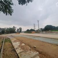 Bán đất Đạo tú, Tam dương , Vĩnh phúc. mặt đường DT310, Góc 3 mặt tiền