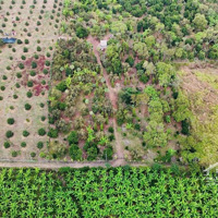Đất Vườn Đường Bê Tông Xe Hơi, View Đẹp. Đường Xe Hơi. Giá Chỉ 600 Triệu/Sào (Tl) Hàng Gòn Long Khánh