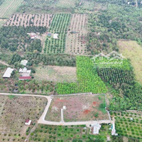 Đất Vườn Đường Bê Tông Xe Hơi, View Đẹp. Đường Xe Hơi. Giá Chỉ 600 Triệu/Sào (Tl) Hàng Gòn Long Khánh