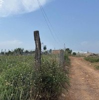 Bán Đất Tại Phúc Thọ, 2083 M2, Đất Nông Nghiệp Có Quy Hoạch Thổ Cư