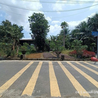 Đất Diên Sơn Diên Khánh Đường Nhựa Ngay Trung Tâm Xã 1Ty 097 Triệu