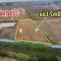 1300M2 Có Sẵn 300M2 Thổ Thích Hợp Xây Nhà Vườn, Kho Xưởng, Hoặc Đầu Tư Kinh Doanh