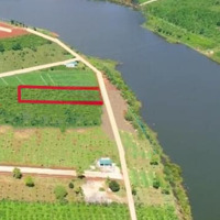Bán 795 M2 Hàng Hiếm Đất Tại Phúc Thọ, Lâm Hà