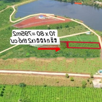 Bán 795 M2 Hàng Hiếm Đất Tại Phúc Thọ, Lâm Hà