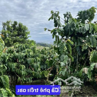Phúc Thọ Bán Nhanh Lô Đất View Hồ, View Đồi Núi Săn Mây