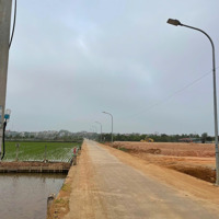 Bán 130M2 Khu Đất Đấu Giá Cầu Lọc, Ngọc Tảo, Phúc Thọ, Hà Nội