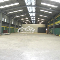 Cho Thuê Kho Xưởng Đa Dạngdiện Tích3000M2, 8000M2, 10.000M2...Kcn Sóng Thần 1, Dĩ An, Bình Dương
