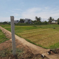 Bán Đất Sổ Đỏ , Thôn Phước Lợi, Xã Thuận Phước, H. Ninh Phước Ninh Thuận ( Cách Ngã 5 Phủ Hà 5")