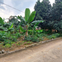 Bán Đất 100M2, Phố Yên Hòa, Quận Cầu Giấy, Hà Nội. Vị Trí Đẹp Giá Rẻ. 10 Tỷ Có Thương Lượng