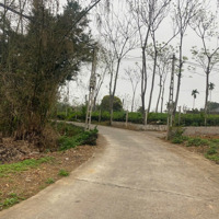 Chính Chủ Cần Bán Gấp Mảnh Đất 856,3M2 Tại Thôn 6 - Ba Trại - Ba Vì - Hà Nội. Liên Hệ: 0866825009