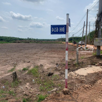 Đất Nền Sổ Sẵn Ngay Trung Tâm Kcn Bàu Bàng