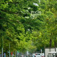 Bán Liền Kề Giá Tốt Nhất Ecopark