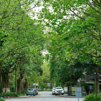 Bán Liền Kề Giá Tốt Nhất Ecopark