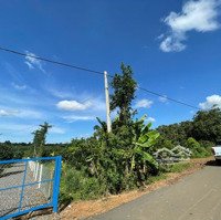 Hàng Hiếm Tại Bàu Chinh, 12 Tỷ, 1700M2, Đất Thổ Cư, Mặt Tiền 14M, Châu Đức, Bà Rịa Vũng Tàu