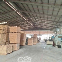 Cho Thuê Kho, Nhà Xưởng 14.000 M2, 450 Triệu Bắc Tân Uyên, Bình Dương. Điện 3 Pha, Pccc, Đường Cont