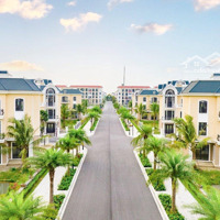 Bán Suất Nội Bộ Dinh Thự Đơn Lập Phân Khu Ngọc Trai Vip - Vinhomes Ocean Park 2. Chiết Khấu Cao