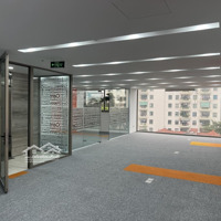 Cho Thuê Sàn Văn Phòng Diện Tích 160M² Tại 75 Trần Thái Tông, Cầu Giấy