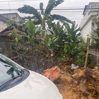 Bán Đất Chính Chủdiện Tích207M2 Bán Kính Trường, Chợ Chỉ 1Km