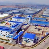 Bán Đất Việt Yên - Sát Khu Công Nghiệp Quang Châu Giá Rẻ Nhất Khu Vực