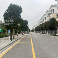 Bán Liền Kề 56 M2, Giá Bán 8,2 Tỷ Khu San Hô, Vinhomes Ocean Park 2,