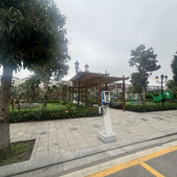 Bán Liền Kề 56 M2, Giá Bán 8,2 Tỷ Khu San Hô, Vinhomes Ocean Park 2,