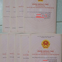 Chính Chủ Cần Bán Gấp Đất Mặt Tiền Đường Nhựa Tại Thị Trấn Ma Đa Guôi, Đạ Huoai, Lâm Đồng