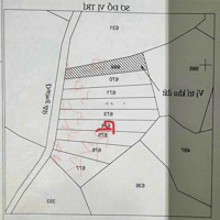 Bán 1000M2 Đất Thôn Sơn La, Phú Sơn, Bù Đăng, Bình Phước: 399 Triệu. Ngày 1/7/25 Bán 499 Triệu