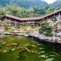 Cần Chuyển Nhượng Nhà Hàng 2867M2 Tại Mai Châu, Hòa Bình