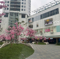Em Minh Ngọc Chuyên Iph_Indochina Plaza Cần Bán Căn Penhouse 300M2_Sẵn Bể Bơi Tại Ch.cam Kết Ko Ảo