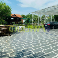Bán Đất Nguyễn Gia Thiều 1.233M Đường 9M Cách 3/2 Chỉ 100M Giá Bán 13.3 Tỷ Sổ Hồng Riêng