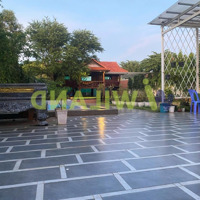 Bán Đất Nguyễn Gia Thiều 1.233M Đường 9M Cách 3/2 Chỉ 100M Giá Bán 13.3 Tỷ Sổ Hồng Riêng