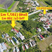 Chính Chủ Bán Gấp Đất Tây Ninh Gò Dầu, 5X40M Thổ 100M2, Giá Bán 320 Triệu Đồng