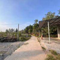 Chính Chủ Bán Gấp Đất Tây Ninh Gò Dầu, 5X40M Thổ 100M2, Giá Bán 320 Triệu Đồng