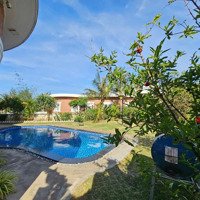 Bán Biệt Thự Biển Hoa Tien Paradise, Xuân Thành, Nghĩ Xuân, Hà Tĩnh